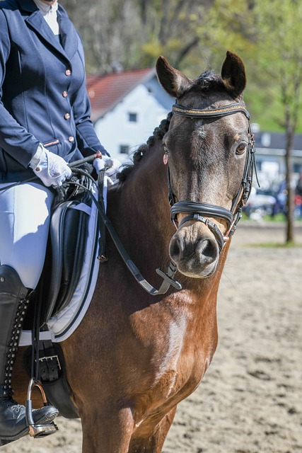 尤文反击一击致命