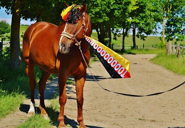欧冠半场：蒂尔破门，阿尔瓦雷斯扳平，埃因霍温1-1马竞